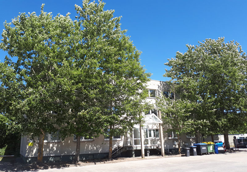 Frontansicht B&uuml;rogeb&auml;ude Objekt 50a - B&uuml;rofl&auml;che zu vermieten